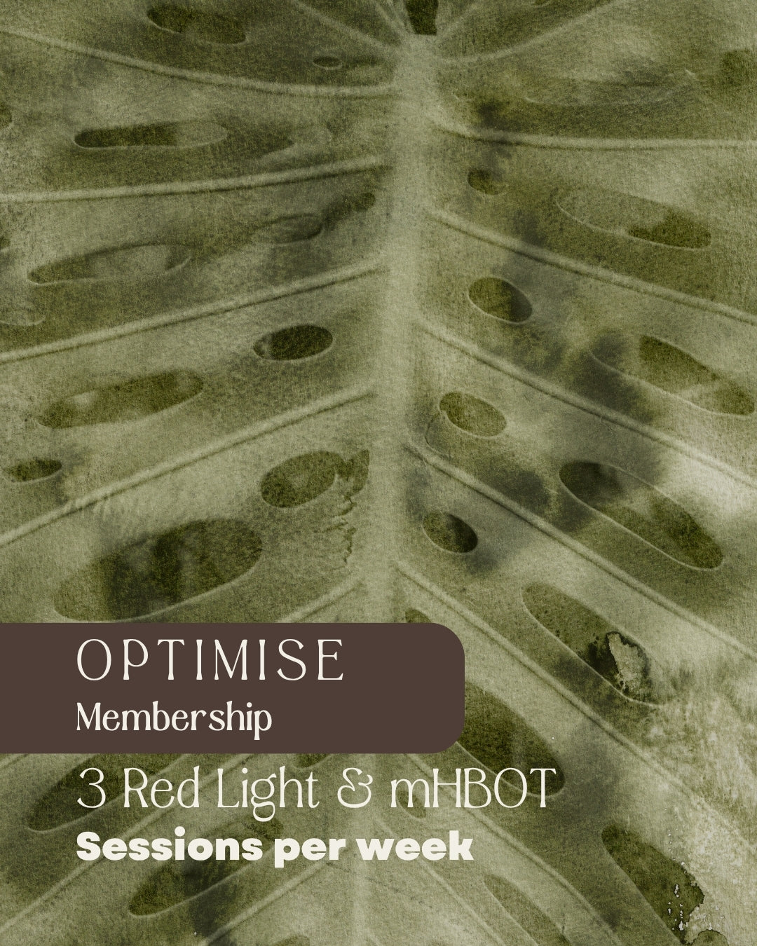 Breathe. Optimise Membership - 3 RLT + mHBOT Sessions per Week