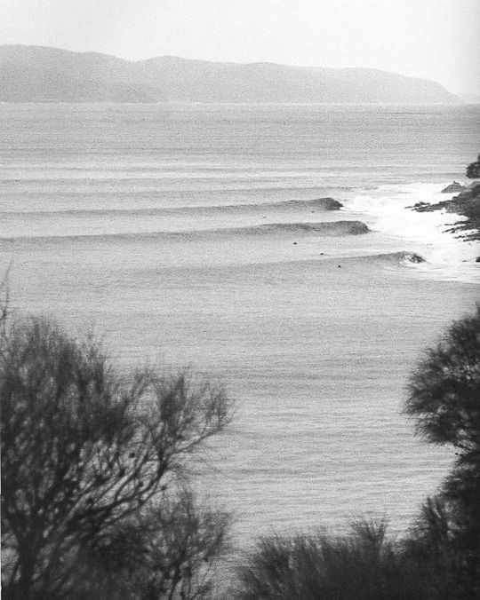 Black and white photograph of ocean waves rolling toward a rocky coastline, with distant hills and dark tree silhouettes in the foreground.