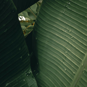 Mawson Lakes Open Now